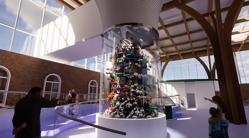 Birmingham Children's Hospital Charity calls on patients to help bring new aquarium to life