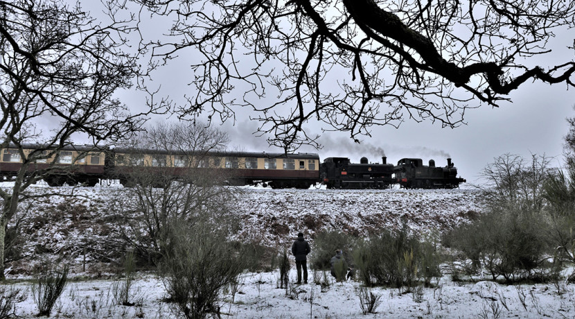 Severn Valley Railway kicks off 2026 with a winter celebration of steam