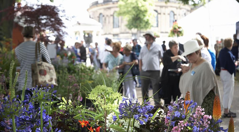 Something for all at Shrewsbury Flower Show