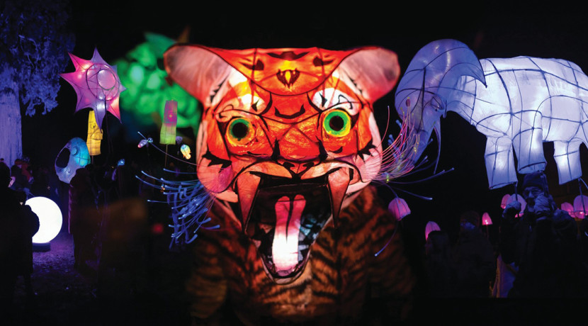 Fringe Arts Wolves makes its debut