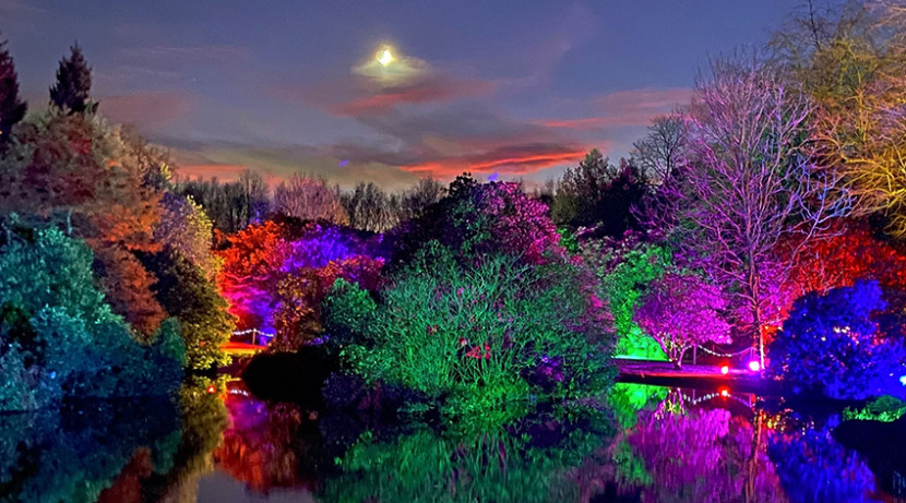 Festive Lights to return to Biddulph Grange Garden this Christmas