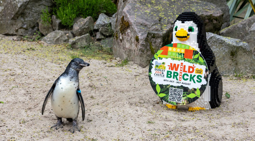 Wild Bricks heads to Dudley Zoo & Castle this summer