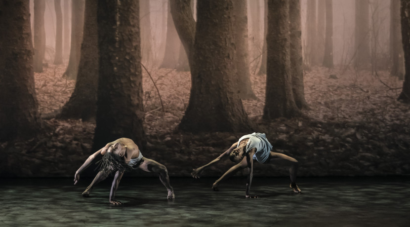 Review: Cuban Eclectico at Birmingham Hippodrome