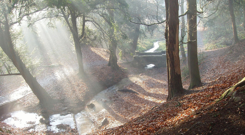 Plans submitted for new visitor centre and café at The Leasowes