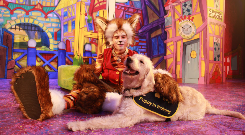 Pups in training join Dick Whittington and his Cat!