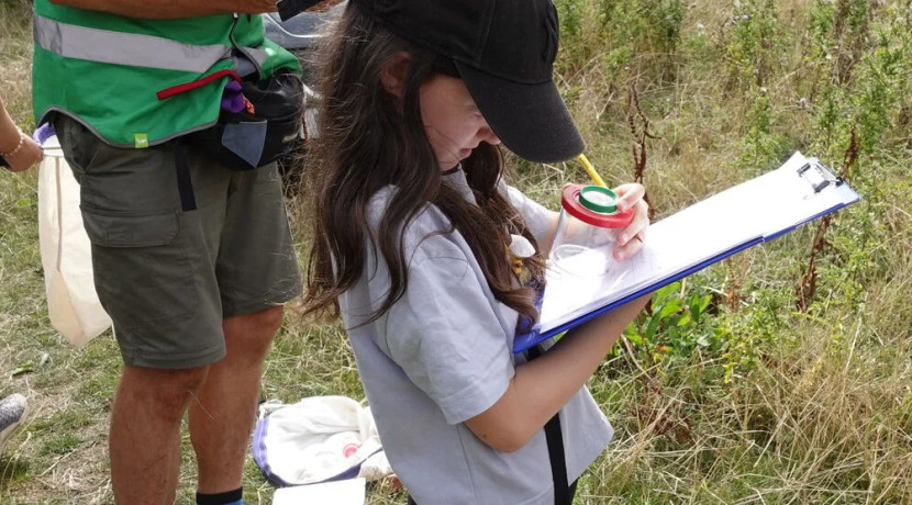 Chapter Meadows Wildlife Count