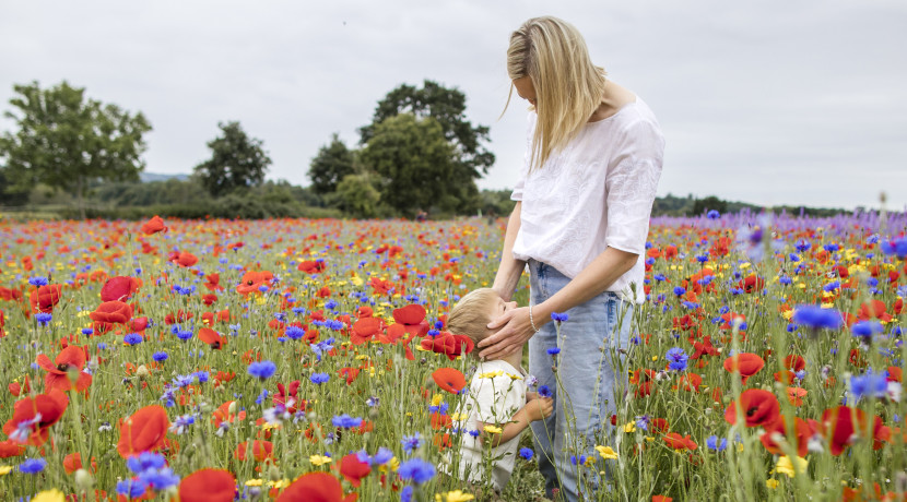 Confetti Flower Field the most colourful and biodiverse season yet
