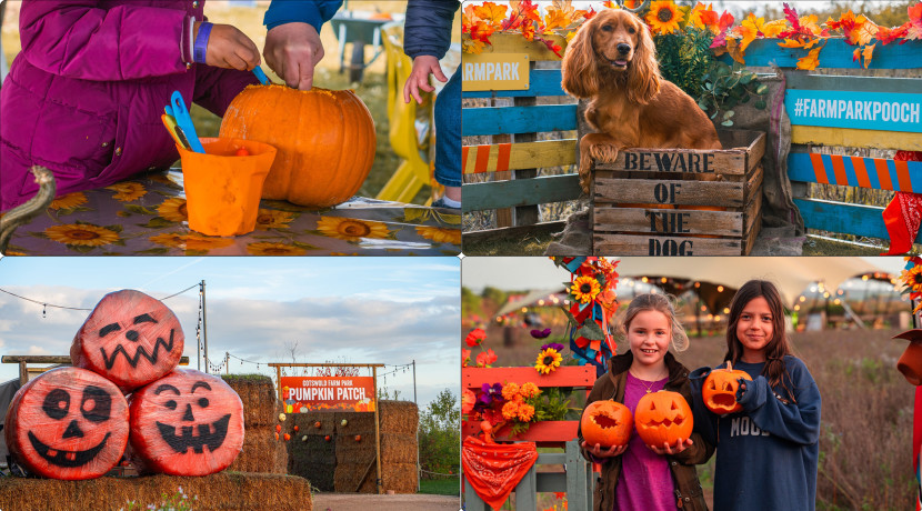 Adam Henson's Cotswold Farm Park Pumpkin Patch returns this October