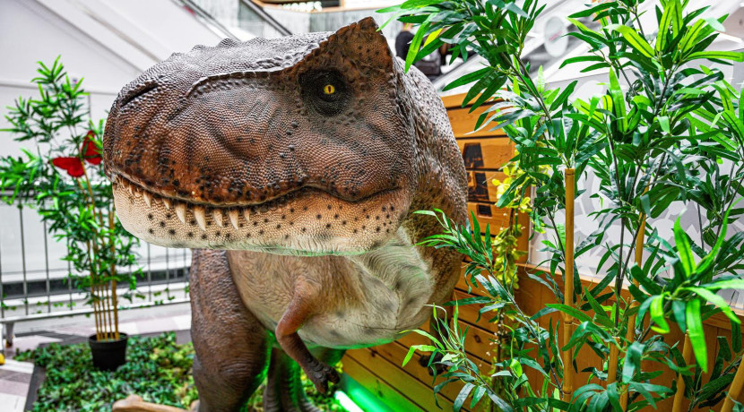 Enjoy Coventry's Dinosaur Summer!