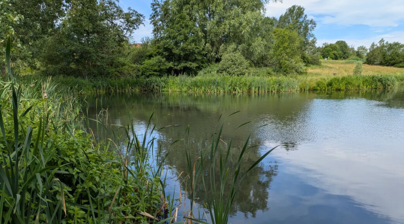 Ford Green Brook restoration project to create new wildlife habitats