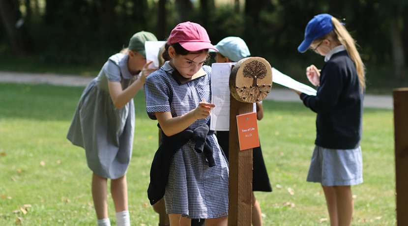 Green Spaces, Shared Places exhibition opens at National Memorial Arboretum