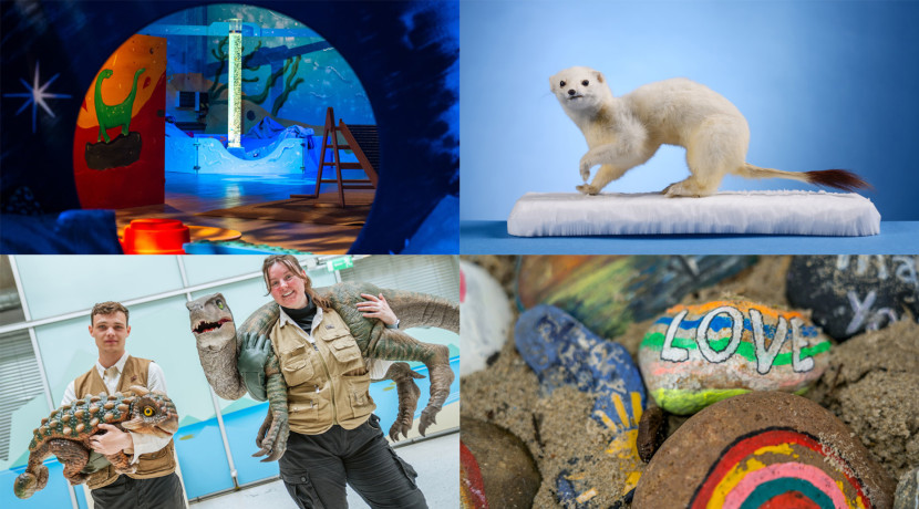 A world of possibility at the Herbert