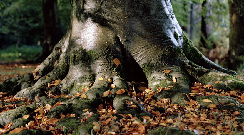 Fractured Landscapes And How We Heal