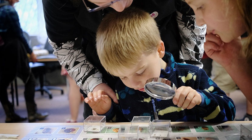 Birmingham Museums unveils summer seasonal programme on theme of discovery