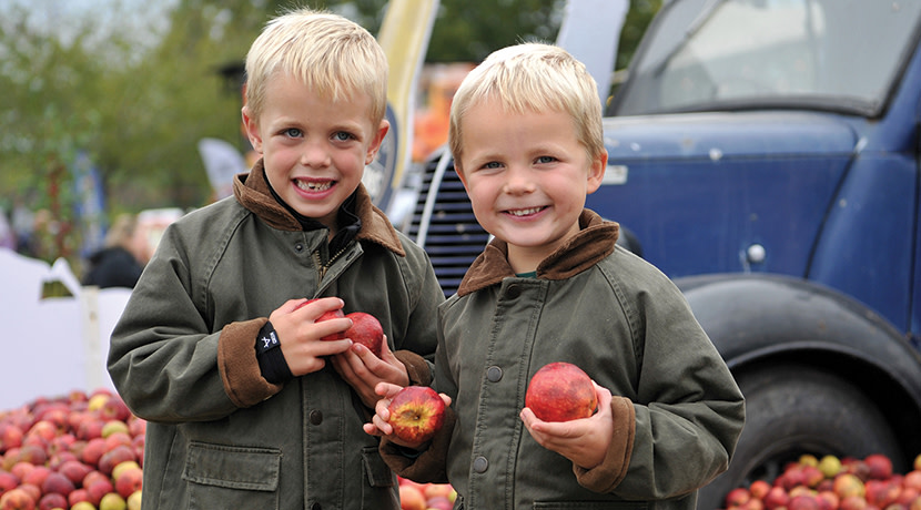 Malvern Autumn Show