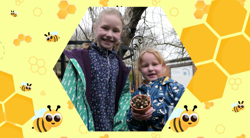 Make a Mini Bee Hotel