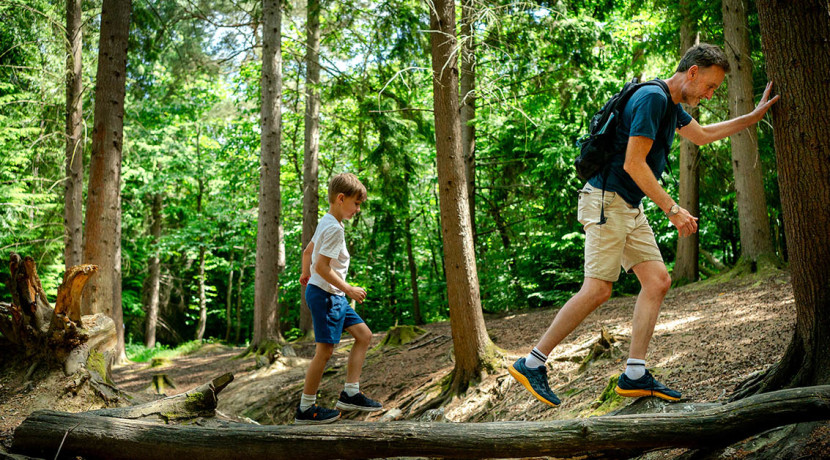 WWF and Forestry England launch new Feel Good Forest Trail