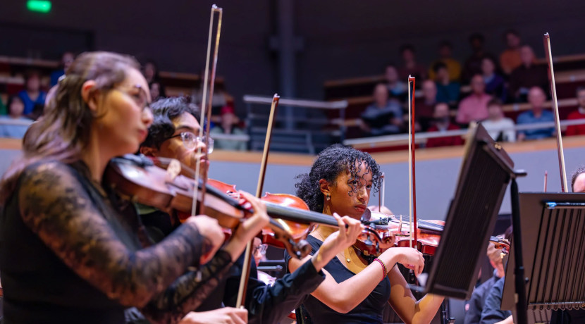 Paddington Bear's First Concert