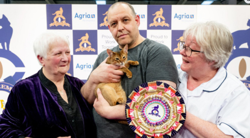 The Supreme Cat Show