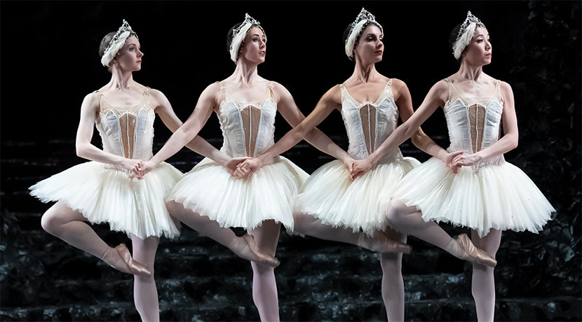 Feature: Gloriously Graceful 