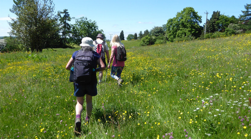 Popular walking festival returns to Staffordshire Moorlands