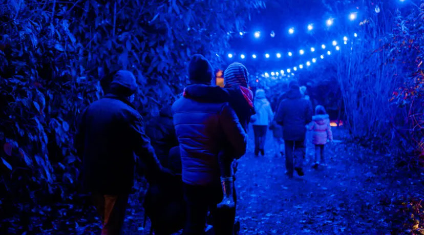 Spectacle of Light