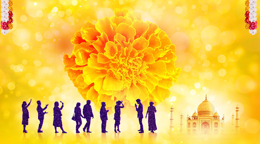 A Grand journey to The Best Exotic Marigold Hotel 