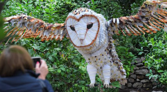 The Magical Owl swoops into Compton Verney