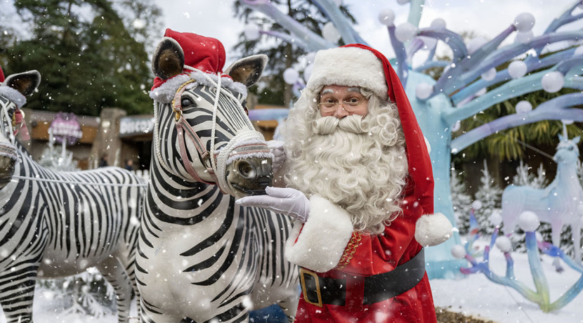 Santa Safari returns to West Midland Safari Park