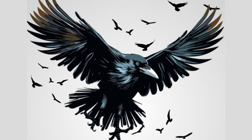 The Birds