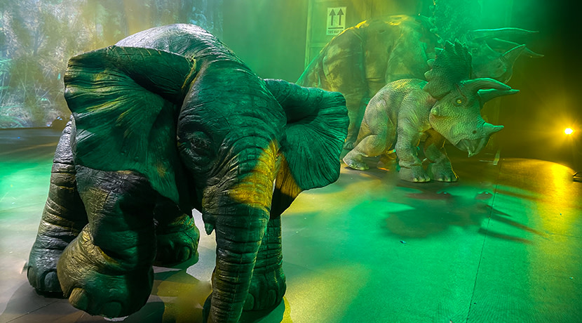 Animals Unleashed