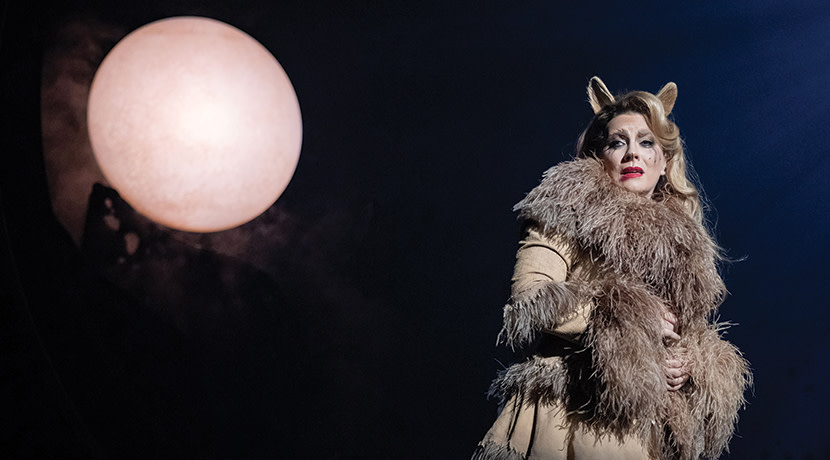 Cats The Musical