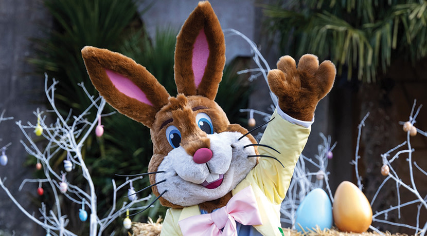 Easter at West Midland  Safari Park