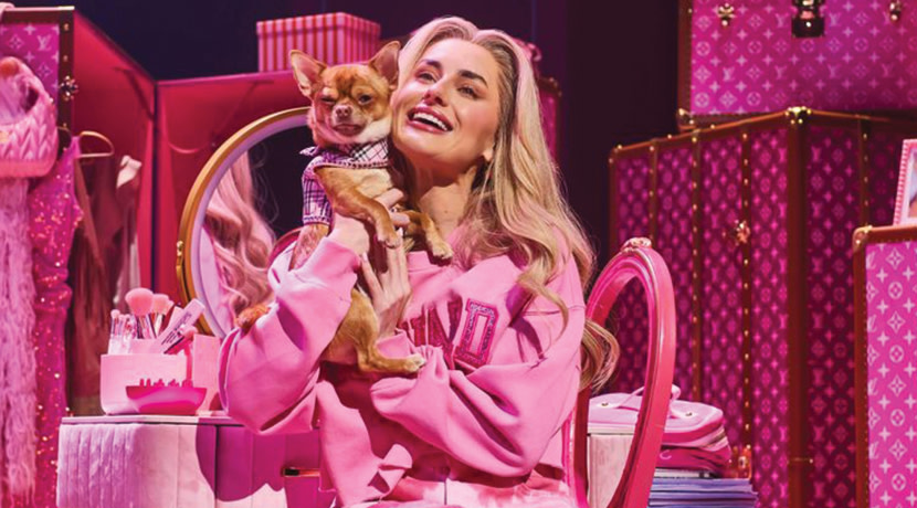 Legally Blonde The Musical