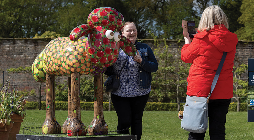 Find The Flock: Shaun The Sheep Trail