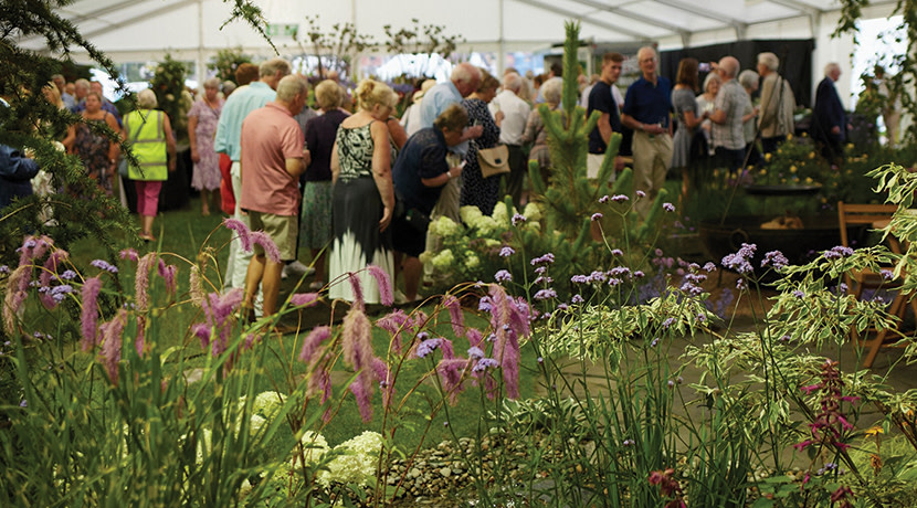 Shrewsbury Flower Show