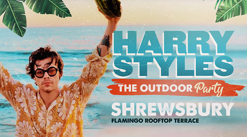 The Harry Styles Outdoor Rooftop Party