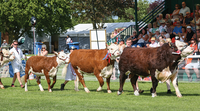 The Royal Three Counties Show