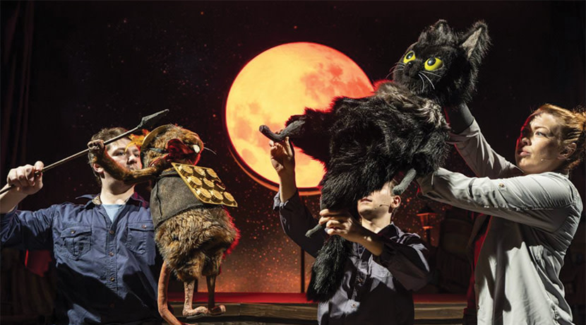 Toto The Ninja Cat And The Great Snake Escape