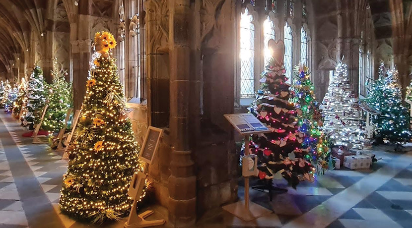 Christmas Tree Festival