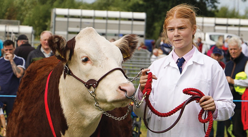 Minsterley Show