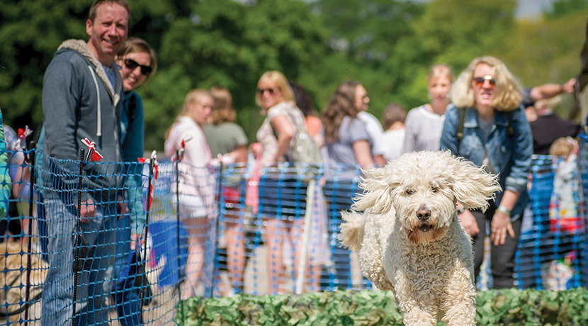 Fur-tastic fun expected at The Big Bark