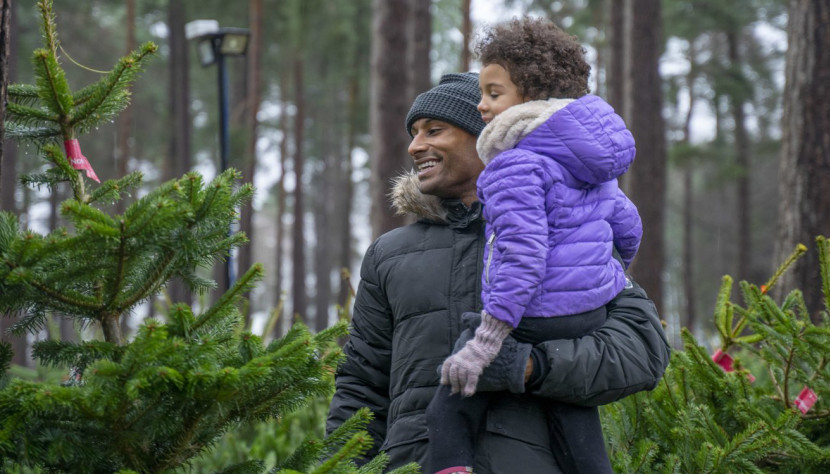 Cannock Chase Forest Christmas Trees return