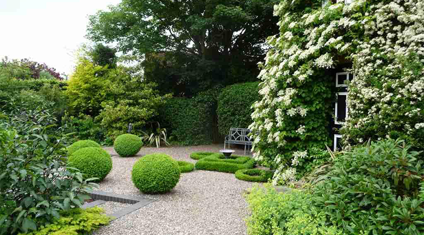 Popular open gardens event returns to Wellington