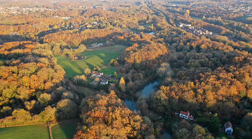 Tree-mendous! Telford recognised for urban greenery