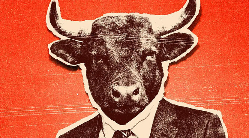 Bull