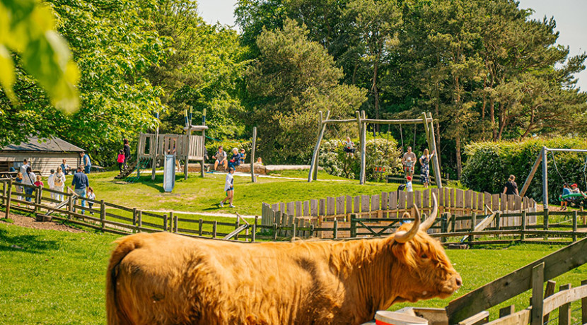 Cotswold Farm Park