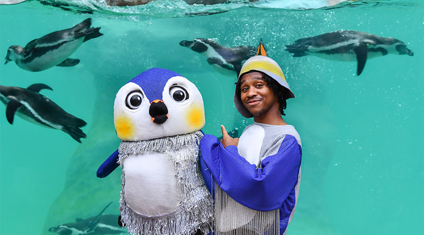 Birmingham Hippodrome’s One Tiny Penguin meets feathered friends