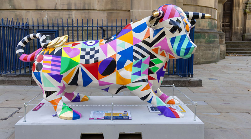 Bulls in the City trail launches in Birmingham