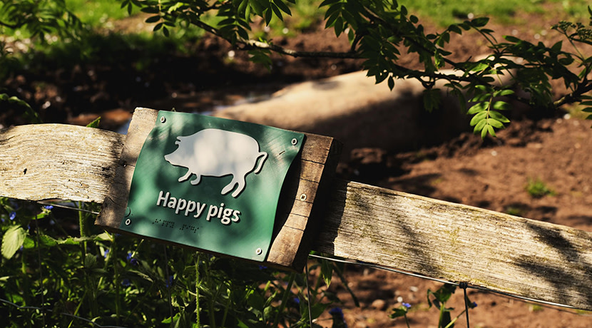 Fordhall Organic Farm introduces Braille Trail for visually impaired visitors